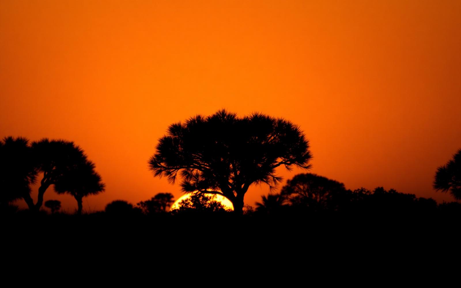 African landscape at golden hour